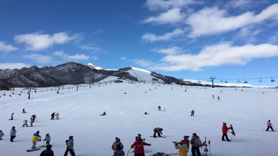 *岩原高原スキー場/初級・中級者向けのコースを多く配置したレイアウトは、どなたにも滑りやすく快適！