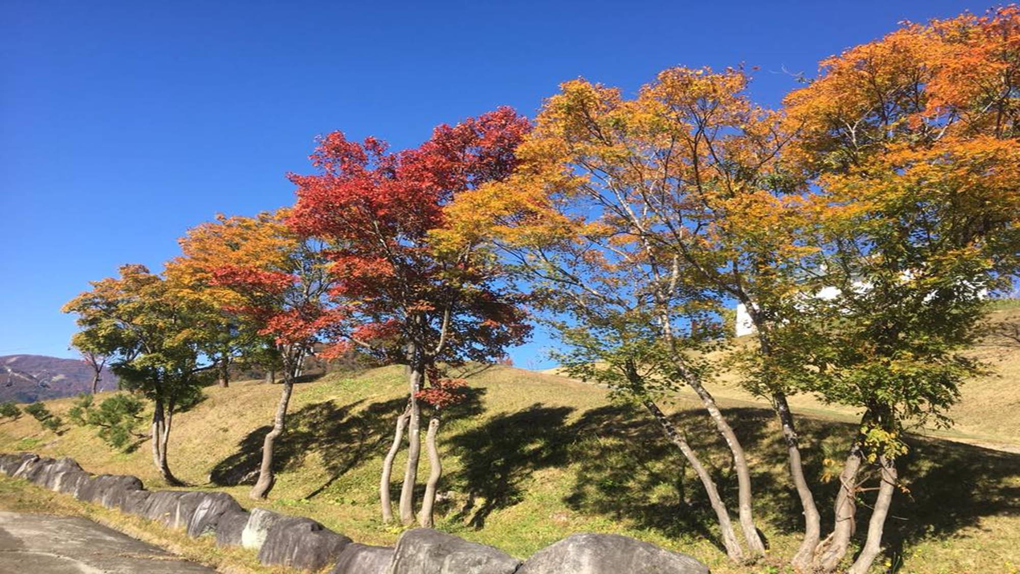 *周辺風景/秋には澄んだ空気の中、紅葉を楽しみながらの散策もおすすめ。