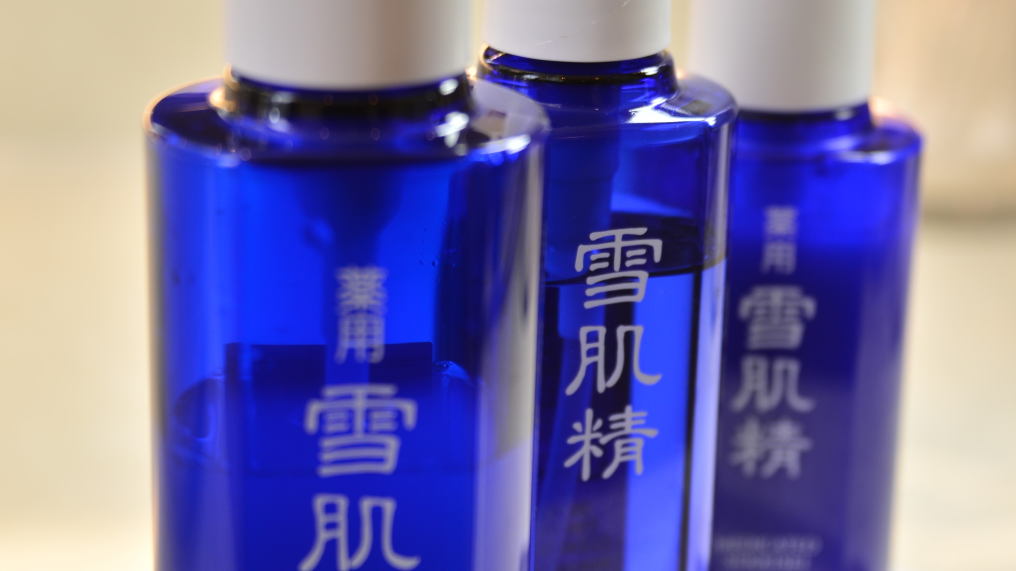 【黒毛和牛のすき焼きコース】メインはすき焼き！肉の旨みと甘口ダレの調和を味わう