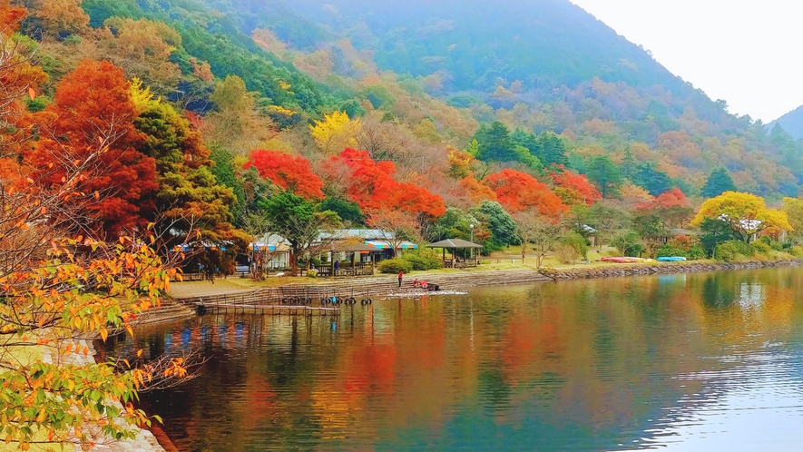 【藺牟田池】秋の紅葉