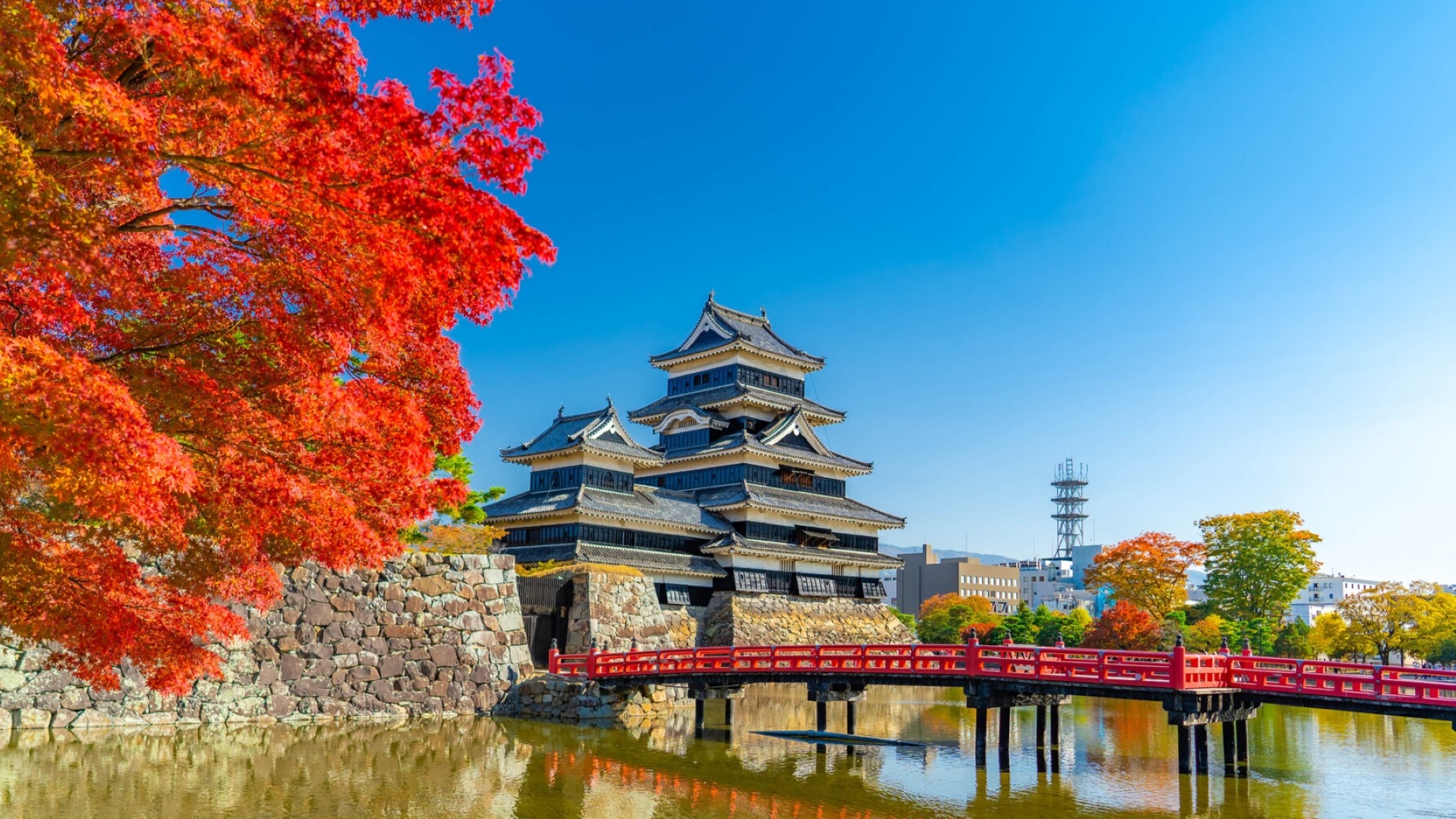 紅葉に映える松本城　当館から車で約60分（長野道経由）