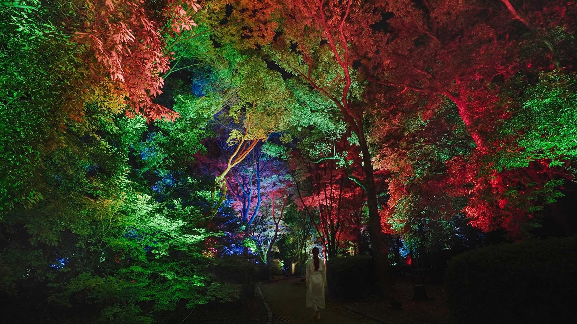 【朝食付】【『チームラボ 養老渓谷』送迎付き】幻想の渓谷アートを体験♪夜は天然温泉で癒しのひととき