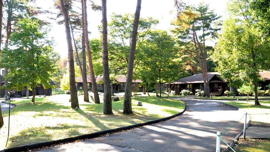 *中庭/朝のお散歩も気持ち良い、松林に囲まれた中庭はとても静か。