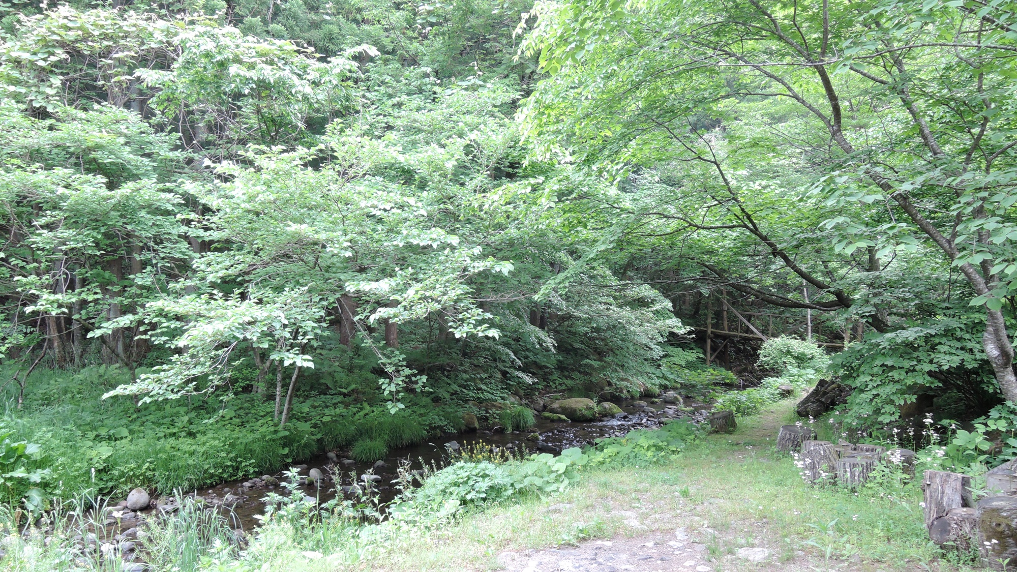 *周辺/岳温泉の中心地から少し離れた静かな環境です。