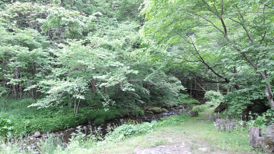 *周辺/岳温泉の中心地から少し離れた静かな環境です。