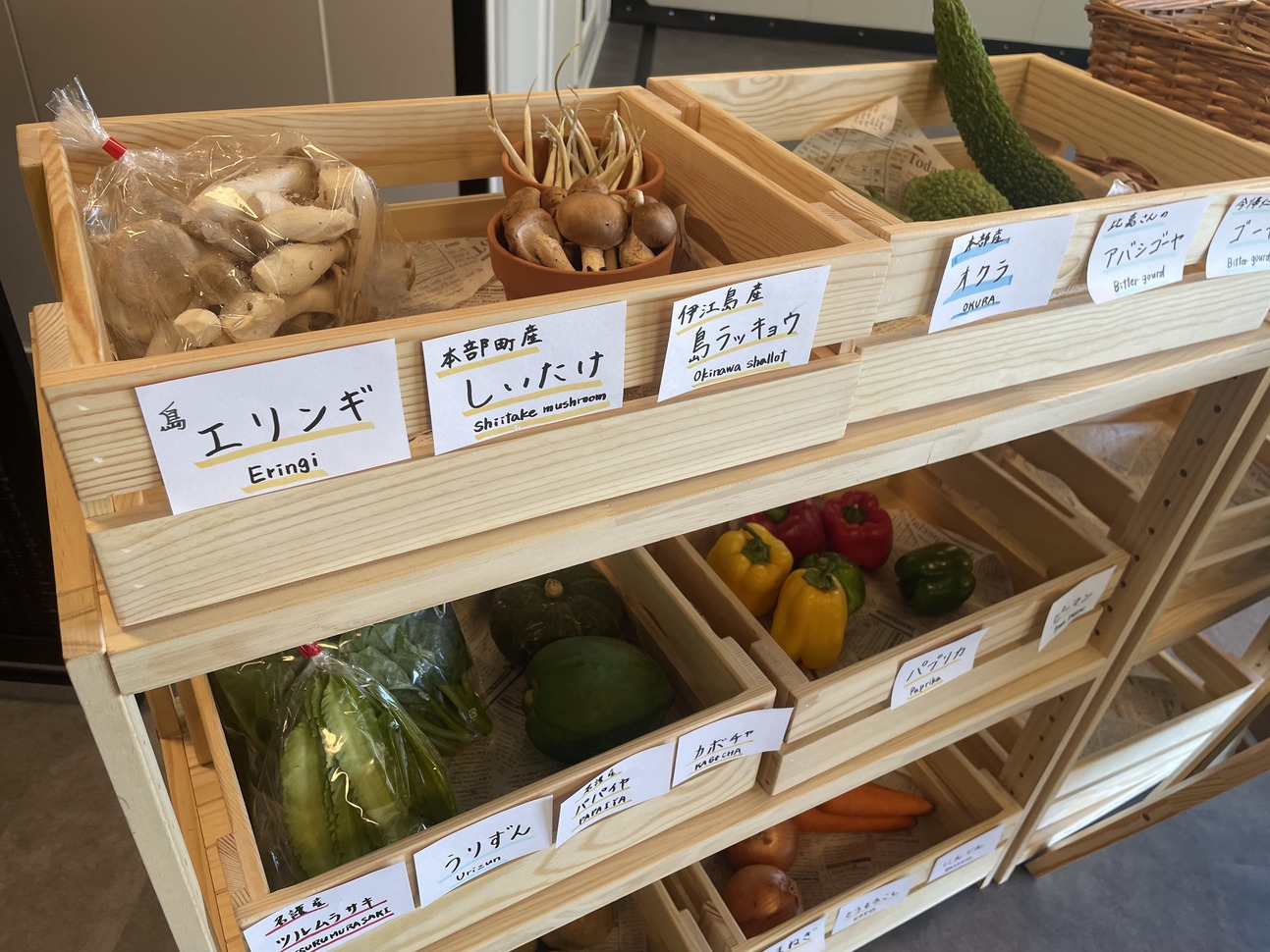 県産島野菜取り放題！BBQ2食付きプラン【夕朝付き】
