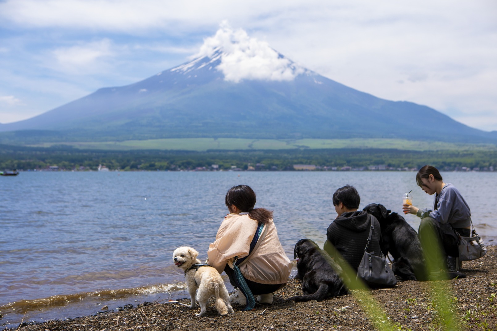 オンリーワンの絶景に出会える旅 １泊２食付き