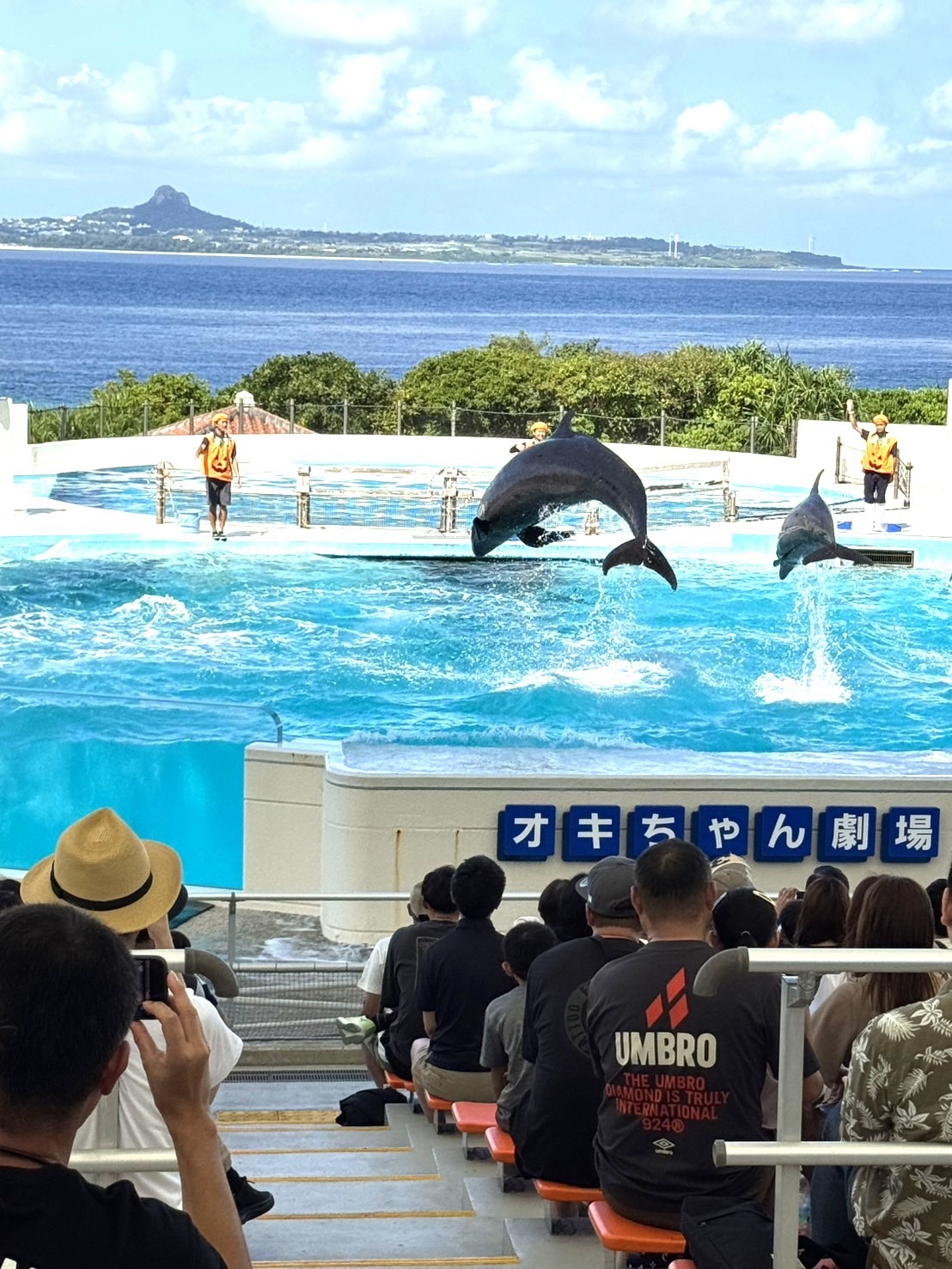 【オープン記念★小学生無料】備瀬フクギ並木の一棟貸切り◆美ら海水族館徒歩圏・エメラルドビーチ徒歩5分