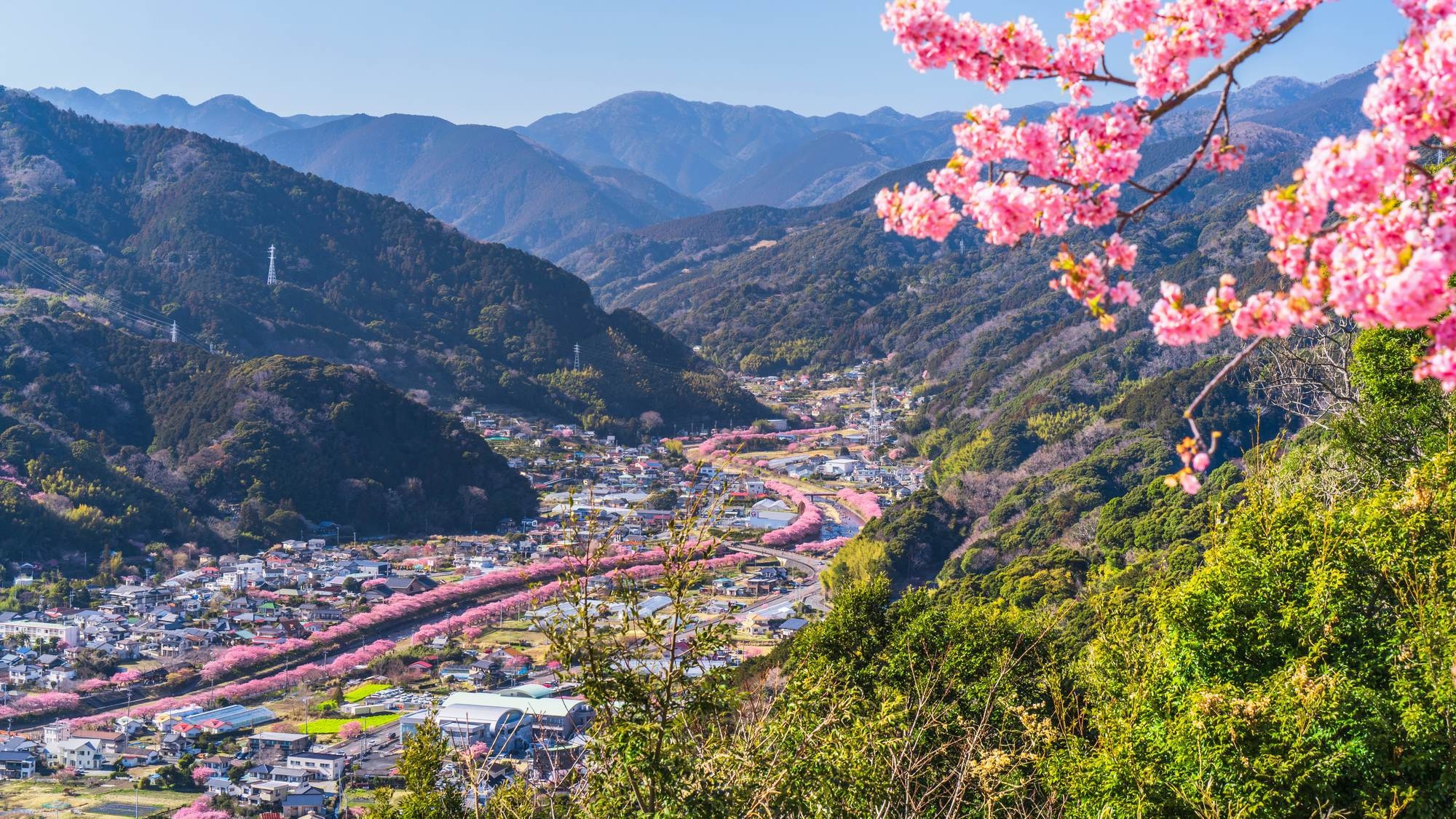 【河津桜まつり徒歩約5分／素泊まり】一棟貸プライベートヴィラに滞在・河津桜のトンネルや夜桜を満喫