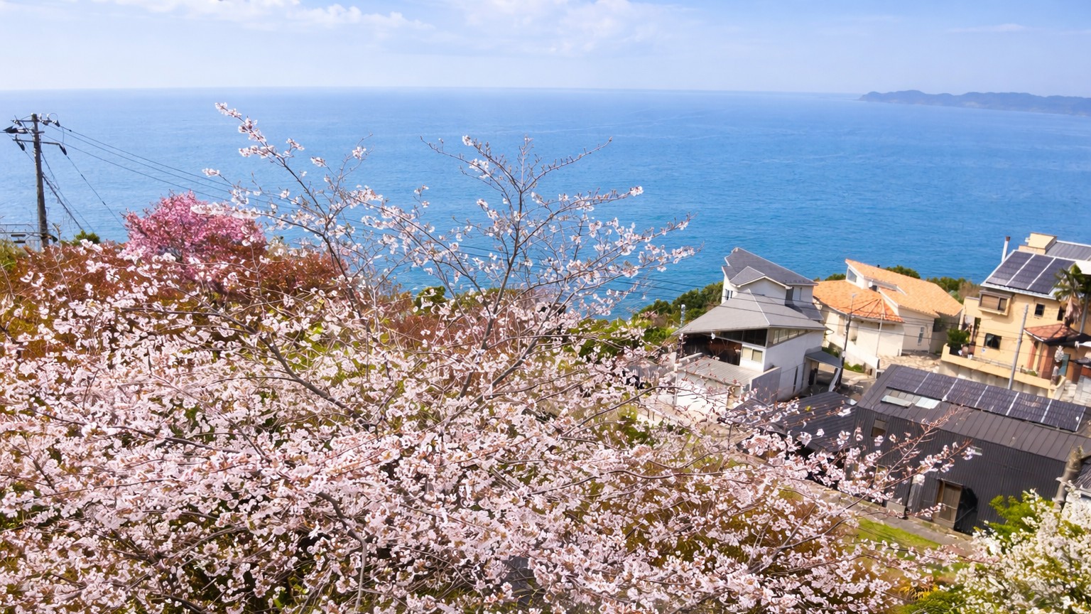 デッキテラス／春風に揺れる桜と海を眺める、穏やかなひととき。※イメージ