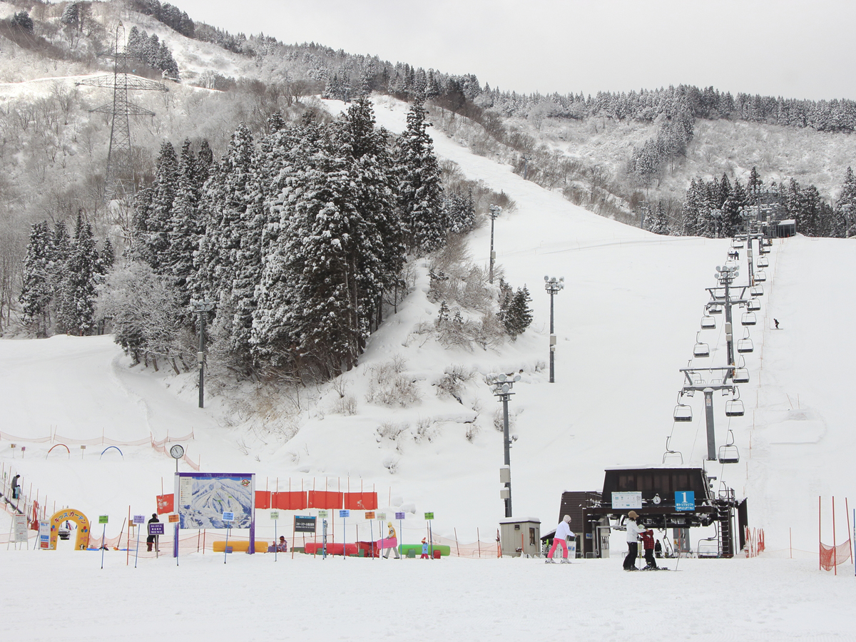 NASPA SKI GARDEN