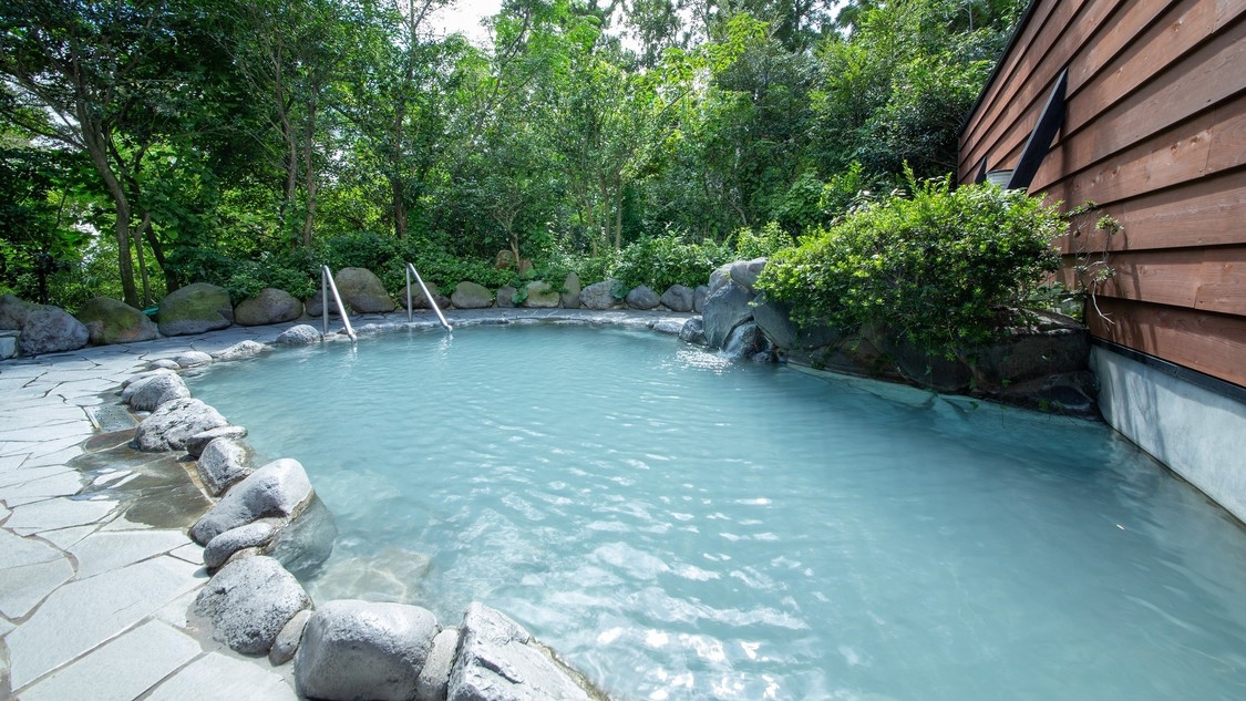 【夕食+入浴+休憩】和洋中バイキングプラン（日帰り・デイユース）