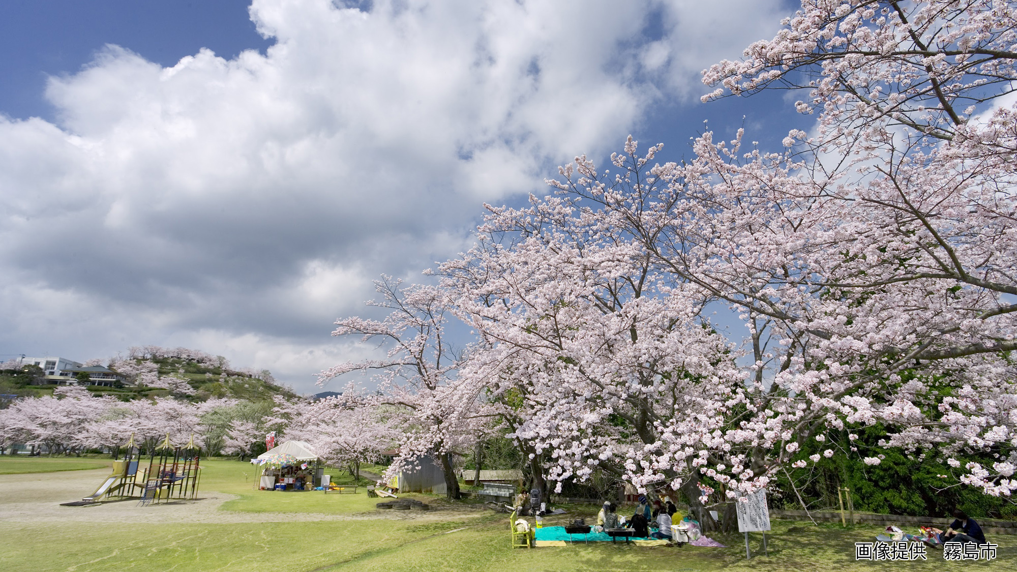 丸岡公園