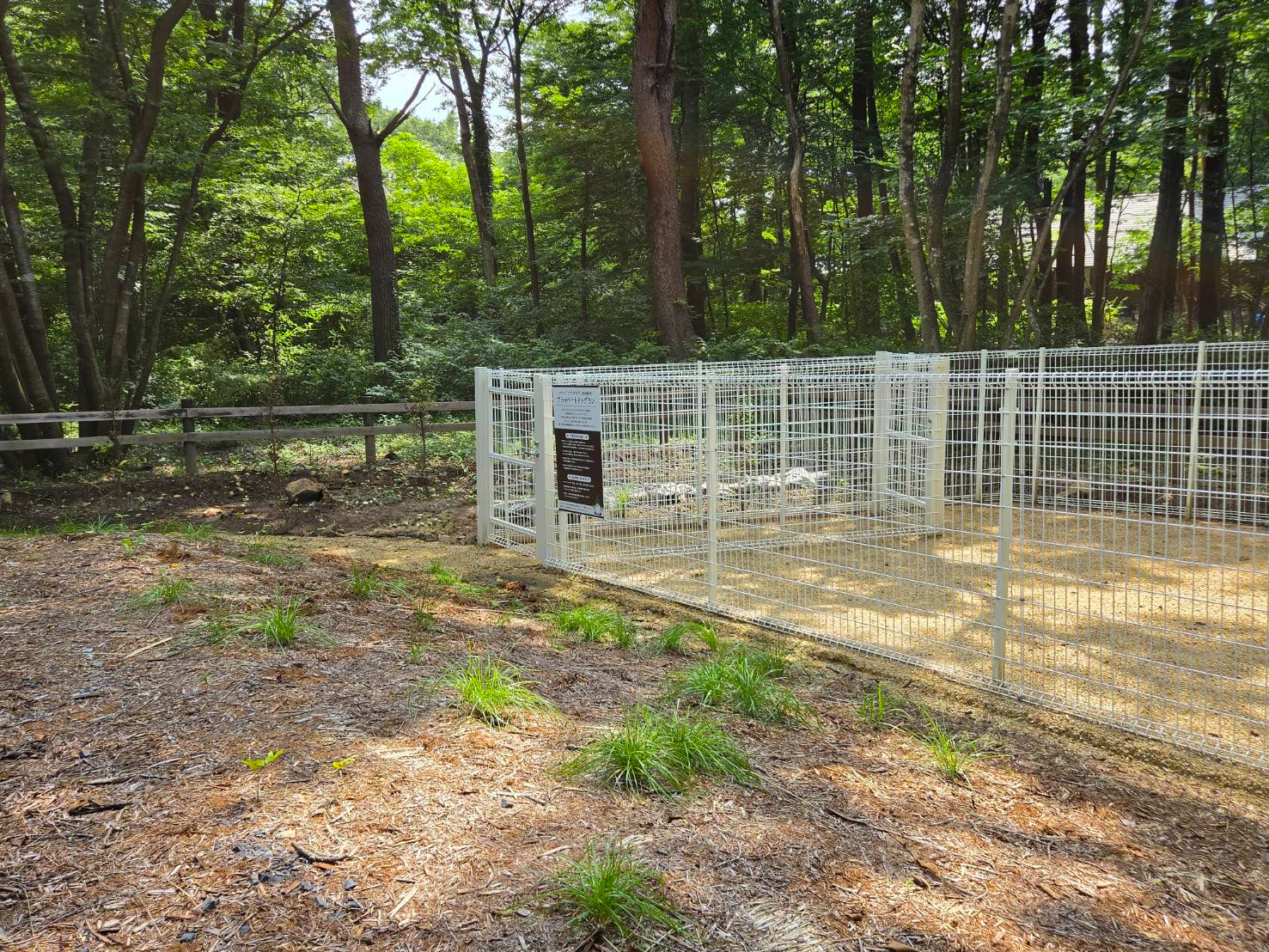ナナカマド専用ドッグラン