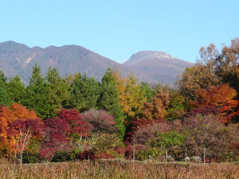 ワンランク上の秋の3連休♪紅葉の那須高原満喫プラン