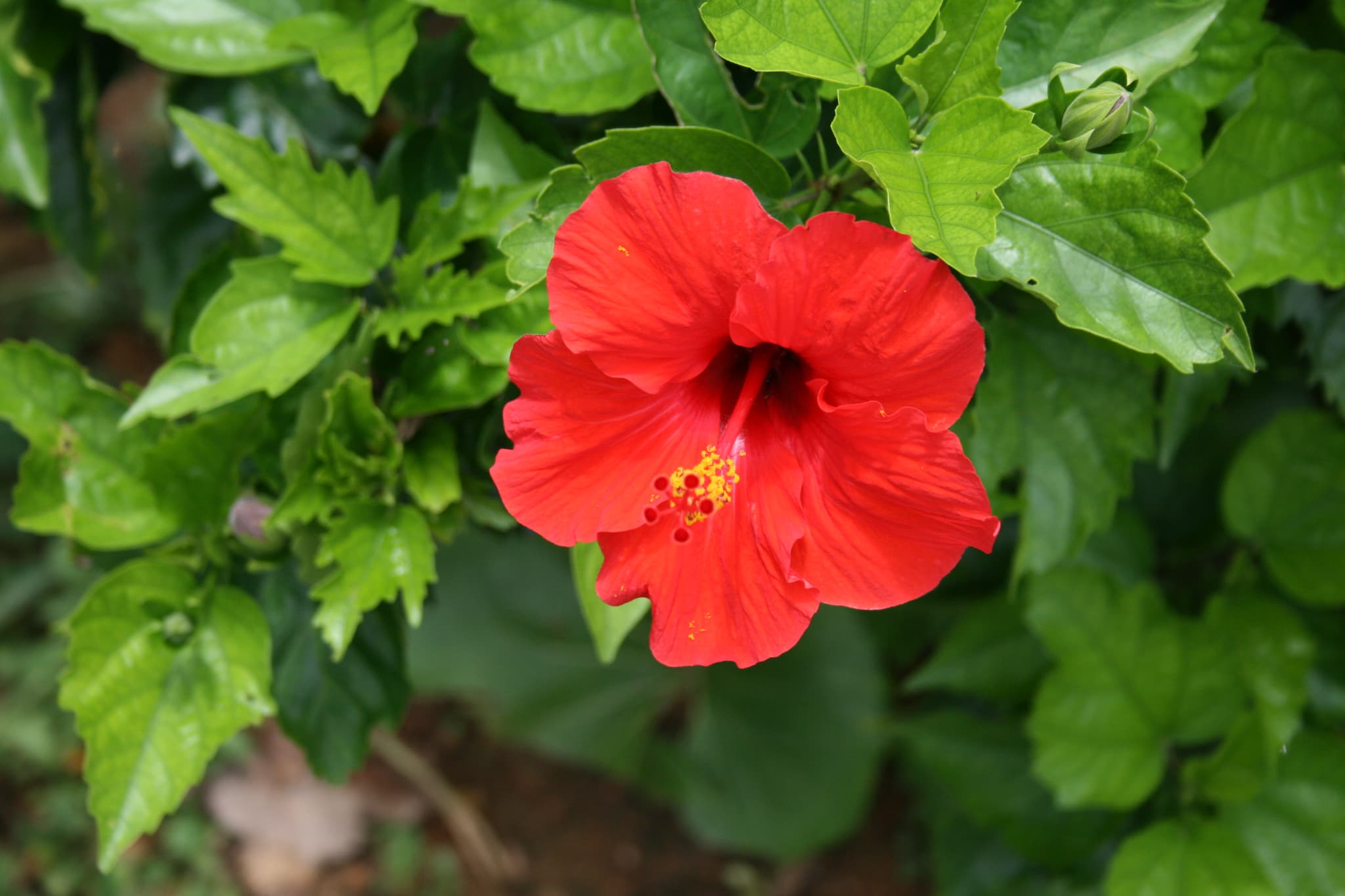 インフィニシス 那覇 首里城 by ヒューイットリゾート（2026年7月31日リブランドオープン） - 写真 164
