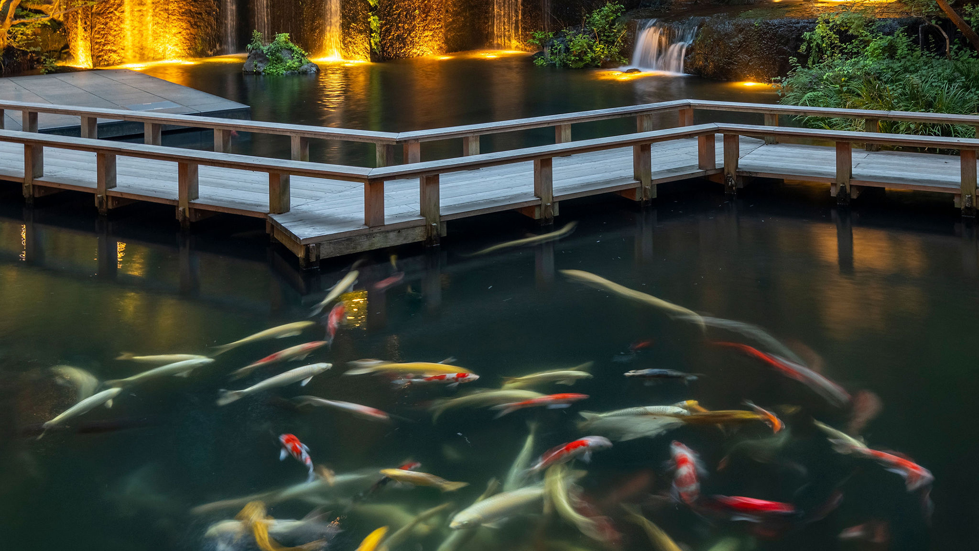 雅叙園東京 - 写真 54