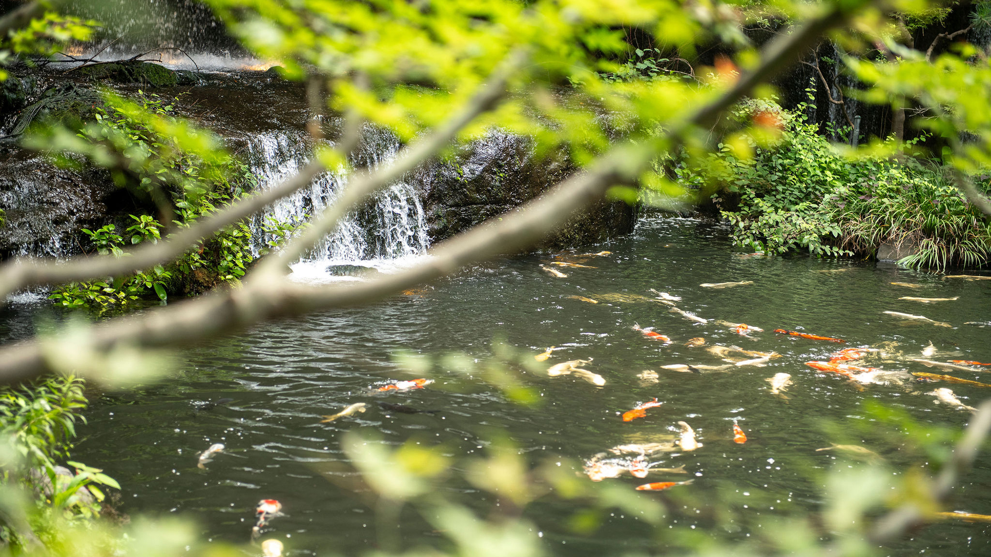 雅叙園東京 - 写真 53