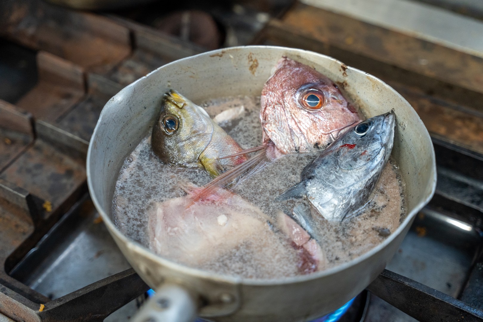 地魚の旨味を凝縮する出汁仕込み。