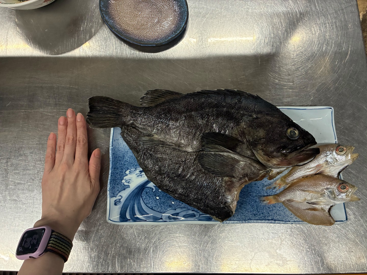 手のひらと比べてもこの大きさ！漁師町だからこそ味わえる、身の詰まった立派な地魚を厳選しています。