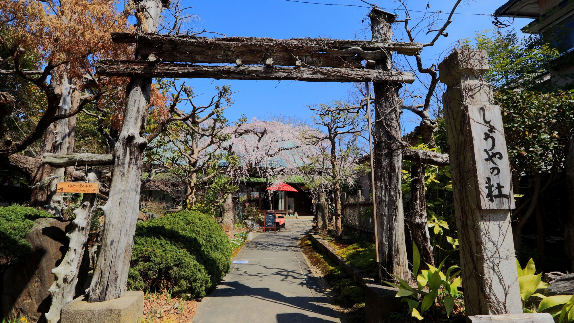 しょうやの杜　看板*