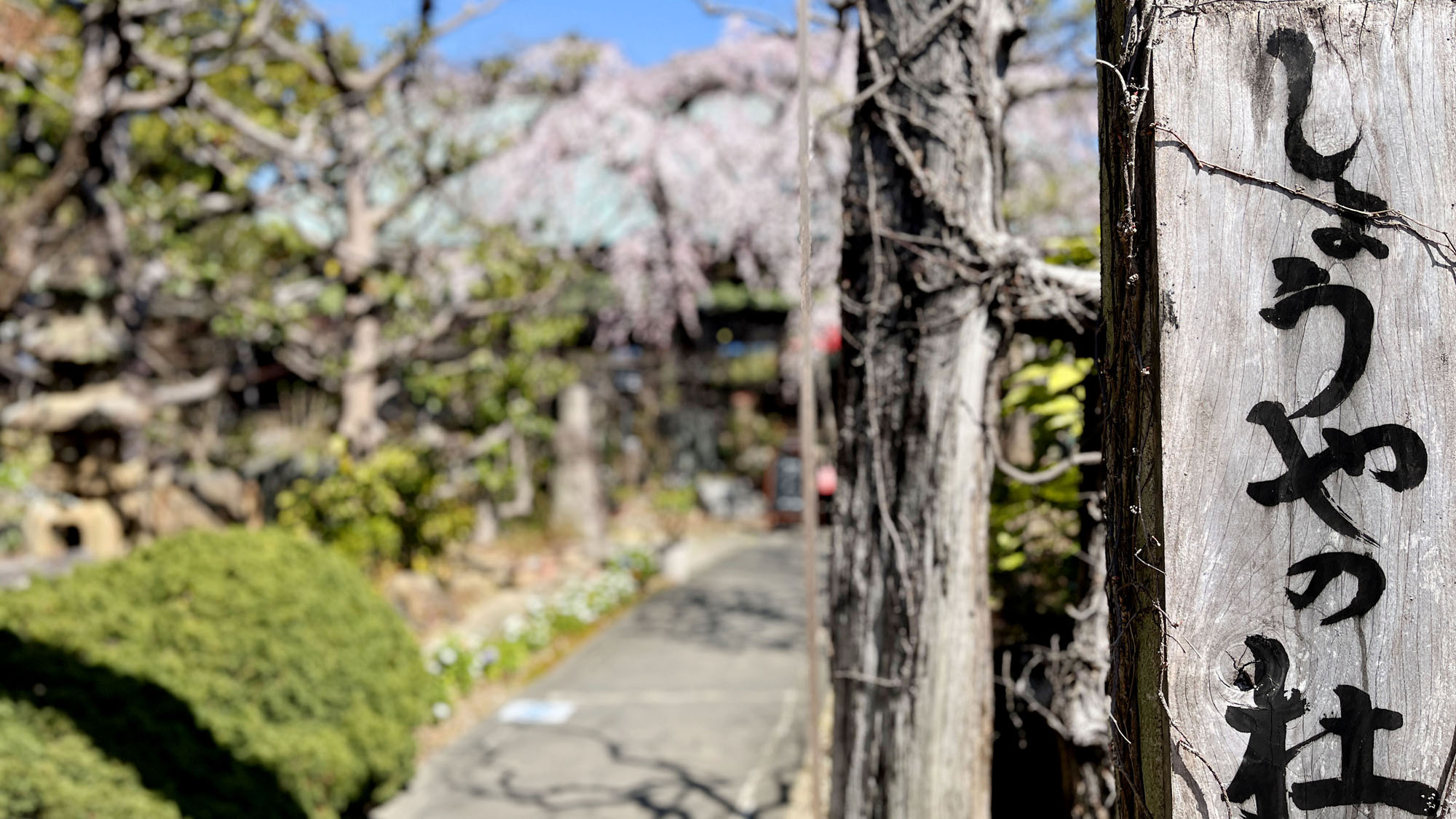 しょうやの杜　看板*