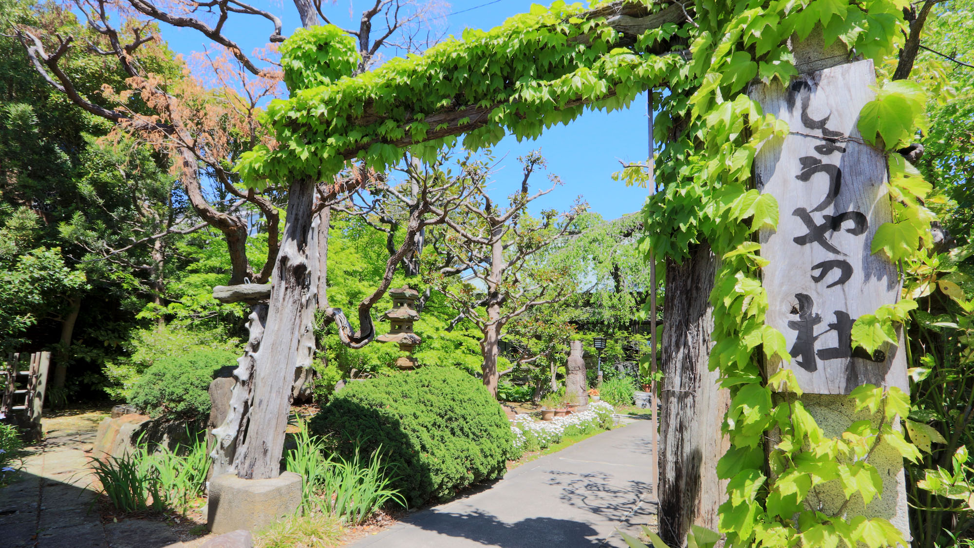 しょうやの杜 看板*