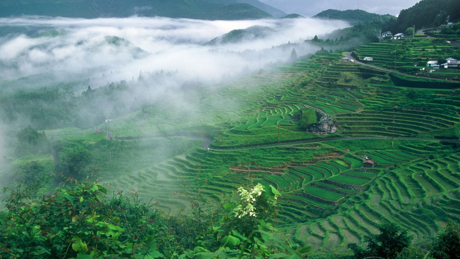 【お部屋おまかせ】土・日・祝日限定！『1000円OFF』お部屋タイプお任せプラン＜素泊まり＞