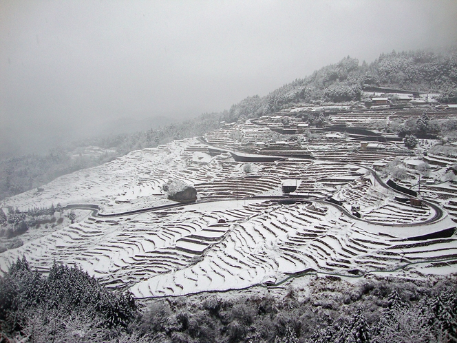 丸山千枚田　冬