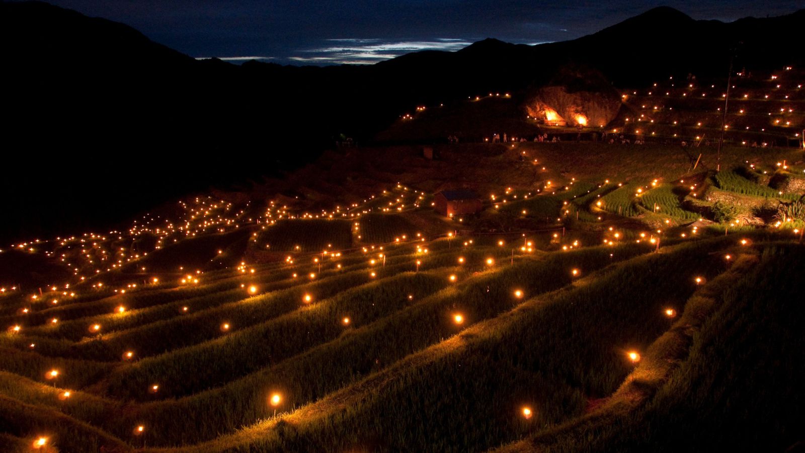 丸山千枚田（夜）