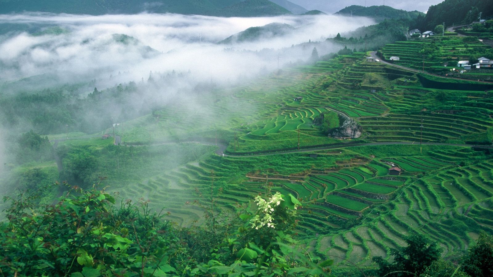 丸山千枚田