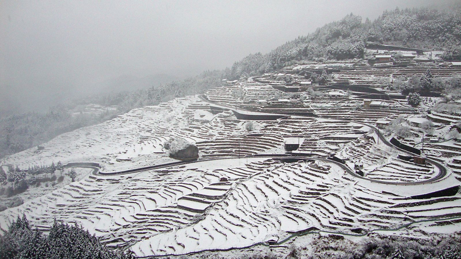 丸山千牧田　冬