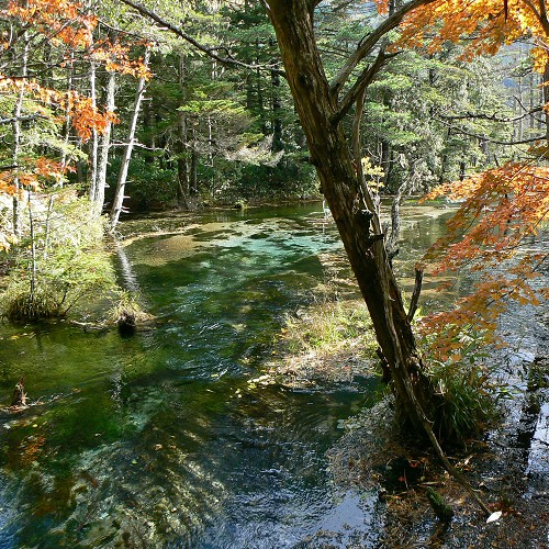 ■【秋の上高地】紅葉の間を流れる川