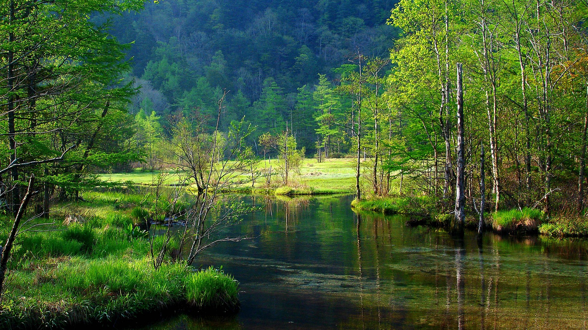 【夏の上高地】澄んだ池と緑に心癒されます