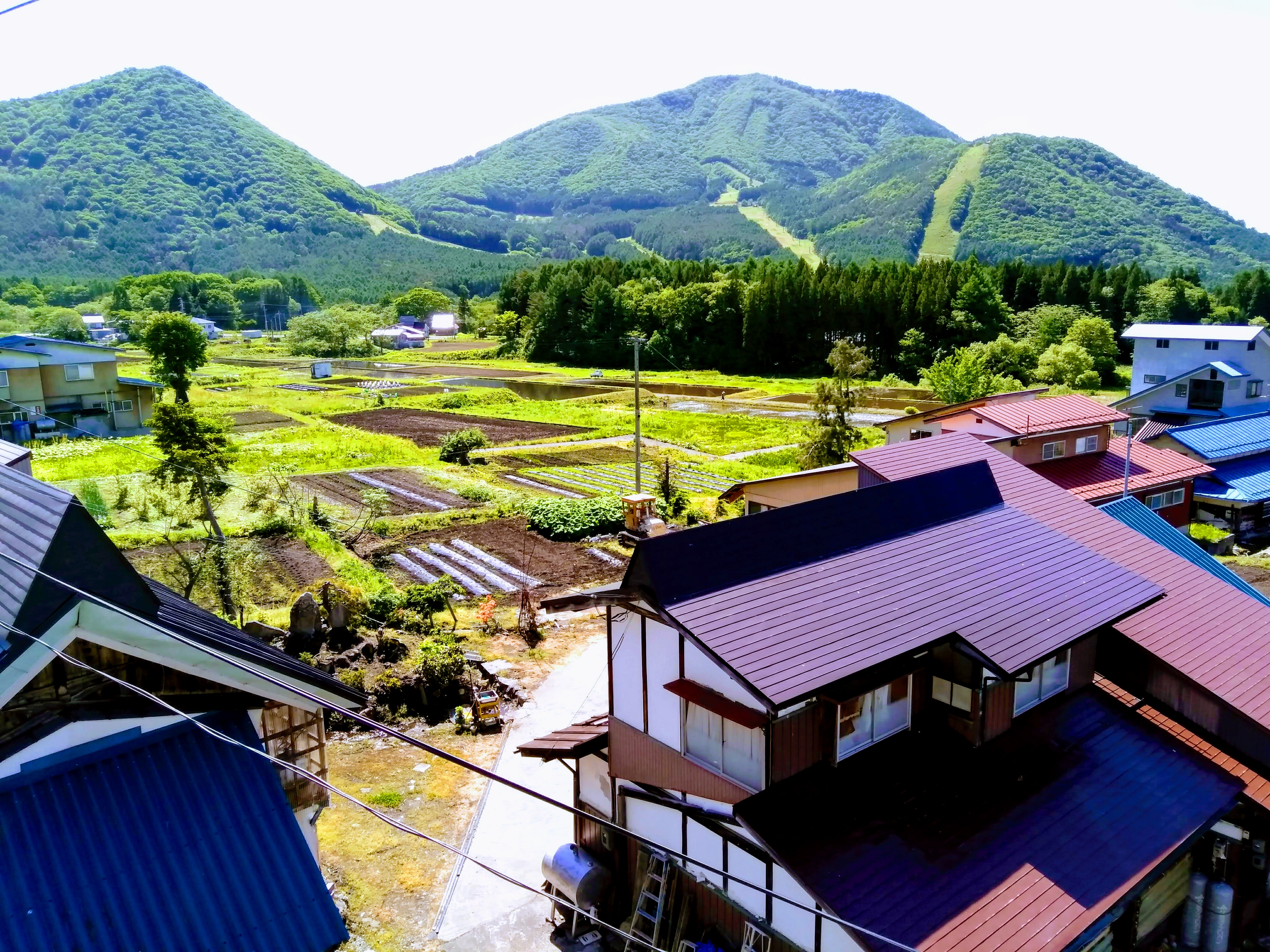 お部屋からの景色