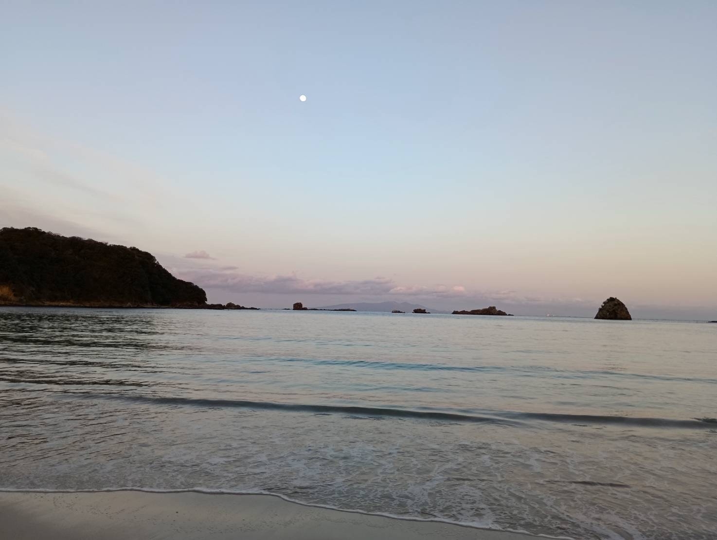 砂浜まで徒歩30秒　金目のしゃぶしゃぶ＋自獲れ魚　満腹プラン