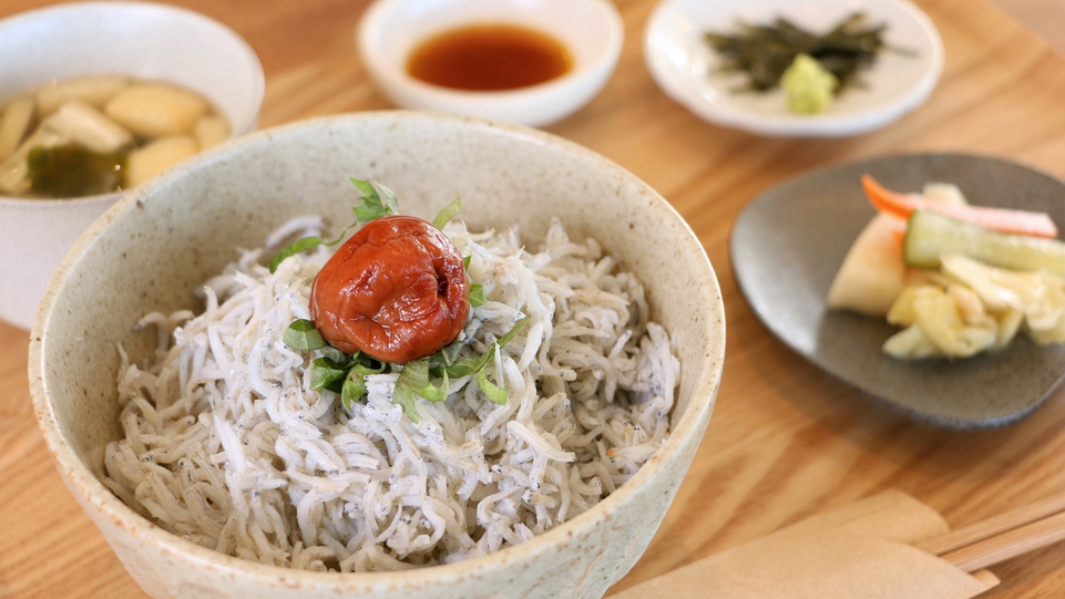 特典満載！海と朝日を眺めて楽しむ♪【朝食】釜揚げのしらす丼プラン≪OPEN記念10％OFF≫