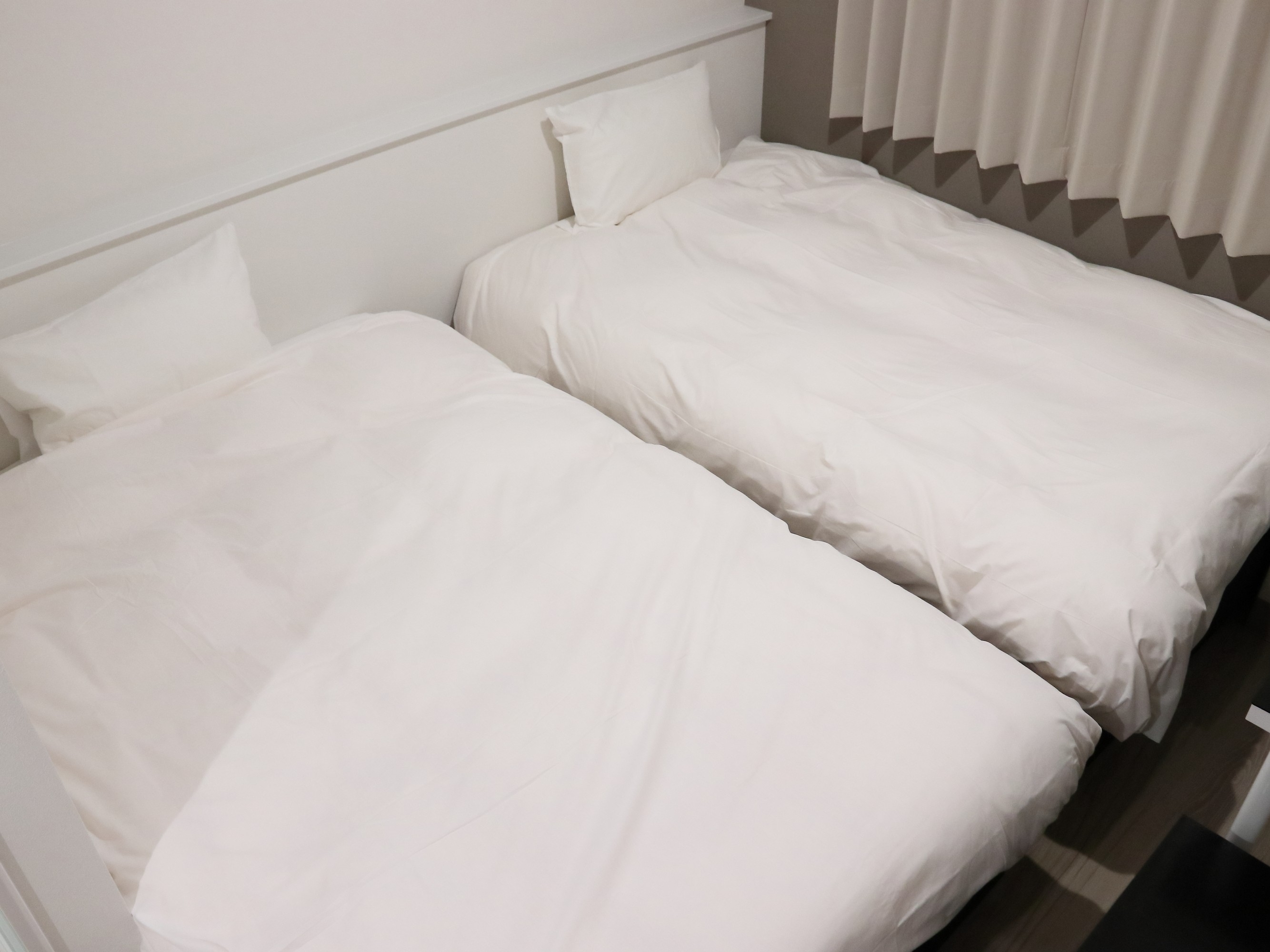 オープン特別記念プラン【素泊り】
