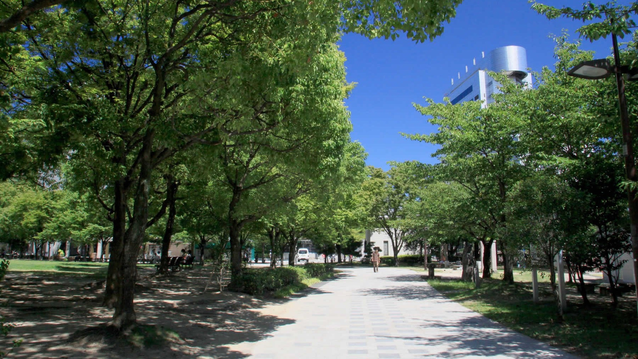 芝生でくつろぐ、街の休日。天神中央公園