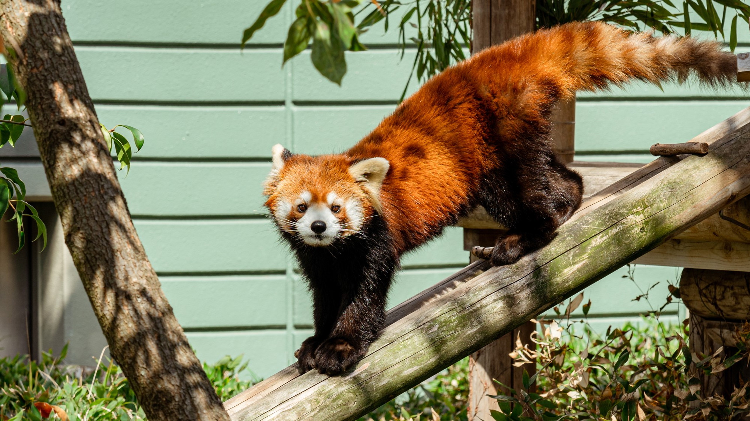 出会いと発見、緑のなかで。福岡市動物園