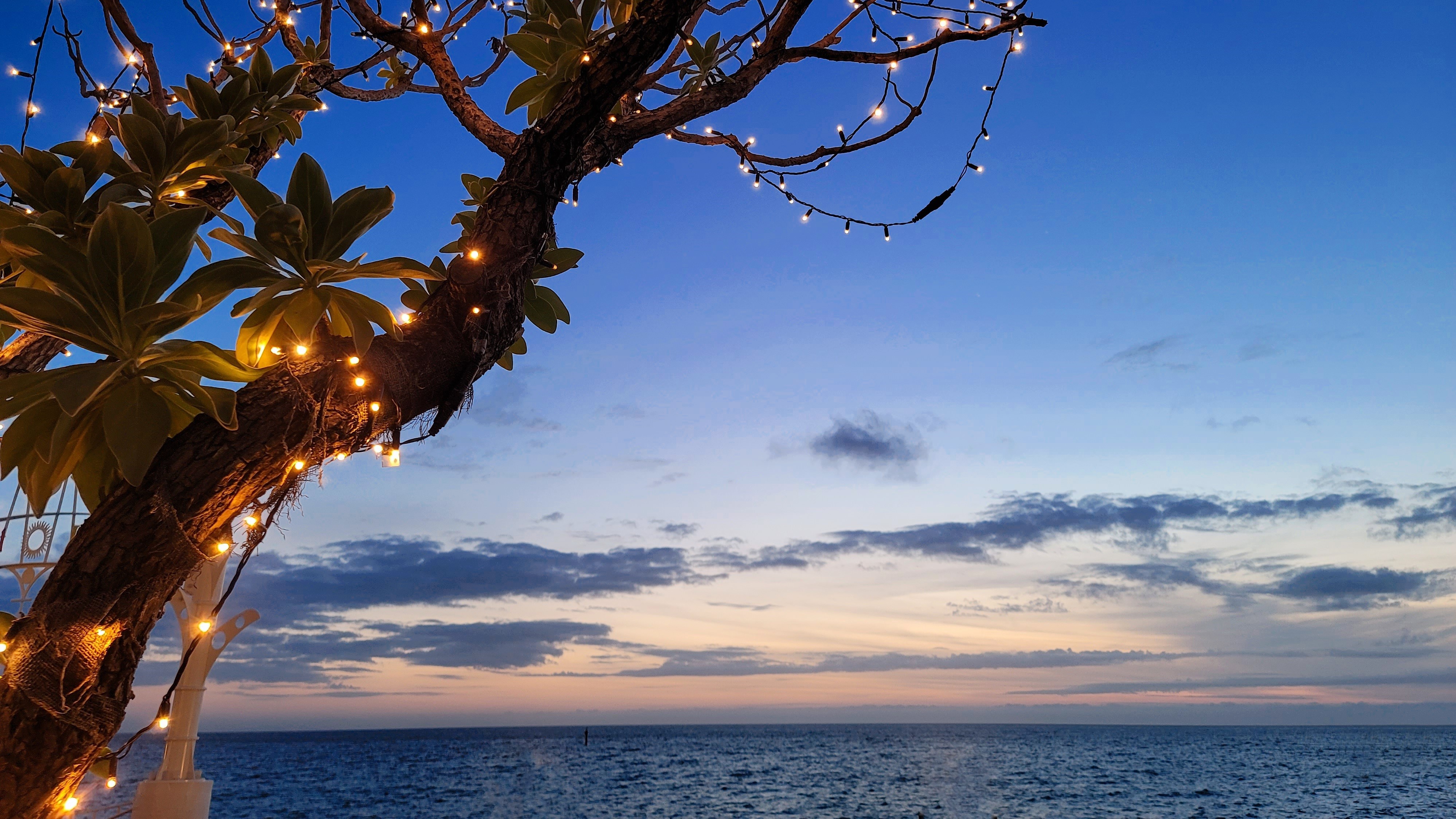 PRIME TREE Izumizaki CONDO HOTEL（旧：コハラホテル） - 写真 37