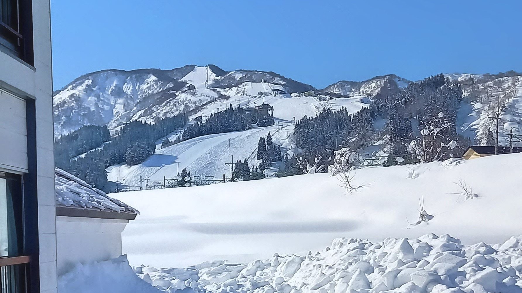 窓から見える石打丸山スキー場