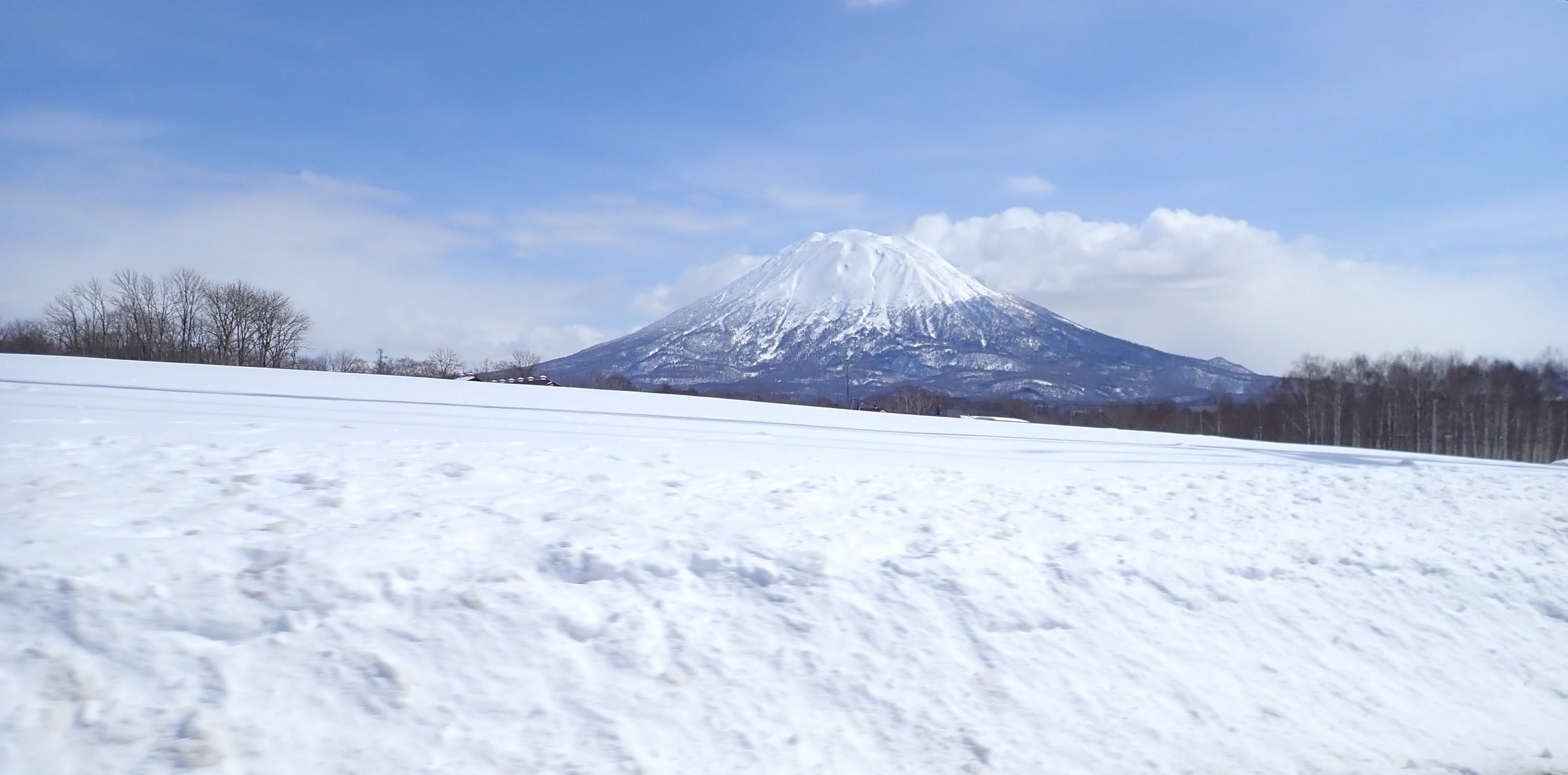 ＜冬期さき楽30＞【朝食つき】ゲレンデ隣接　30日前のご予約で冬旅をゆったり満喫　◇天然温泉◇