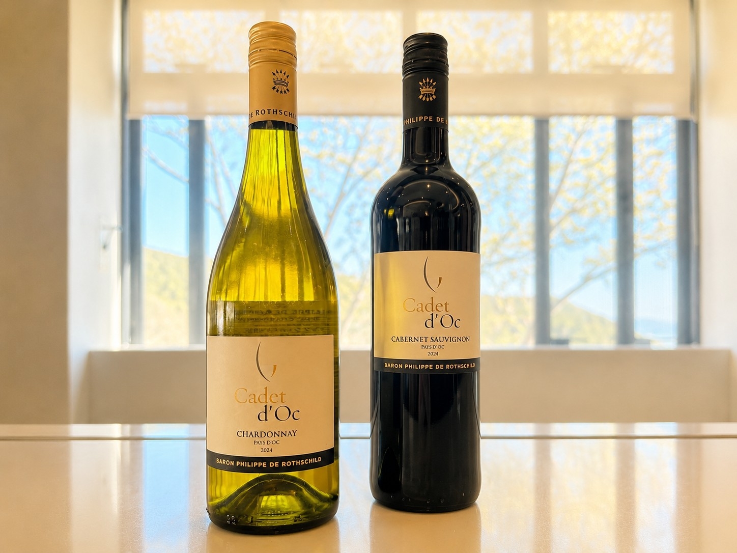 【ワイン70分飲み放題付】フランス産ハウスワインと北海道ディナーを愉しむ＜2食付＞