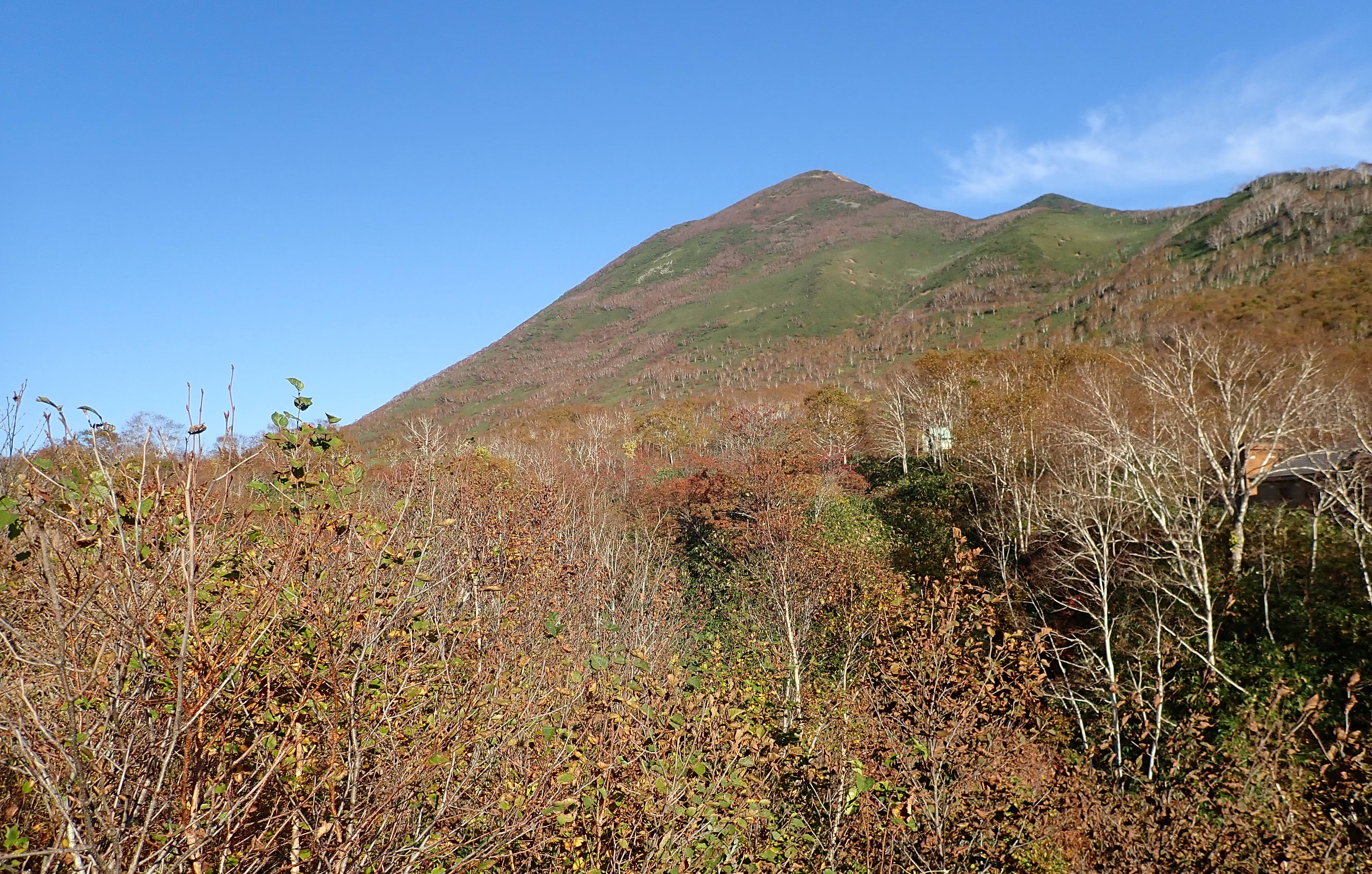 秋のパノラマライン