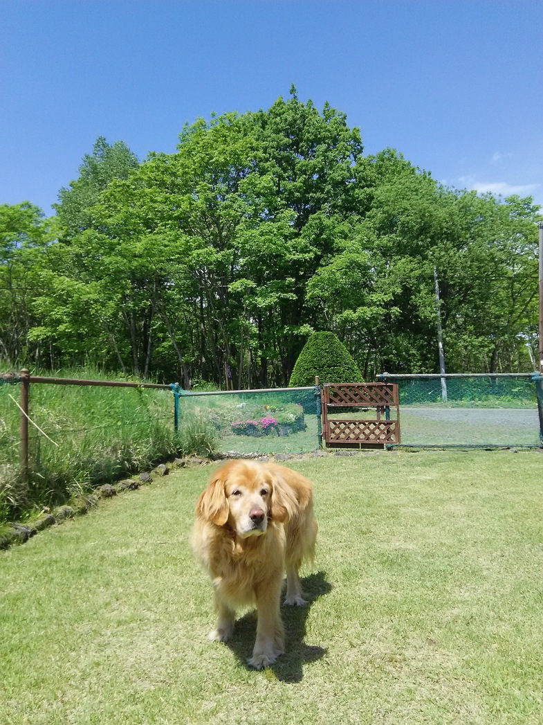 写真2
