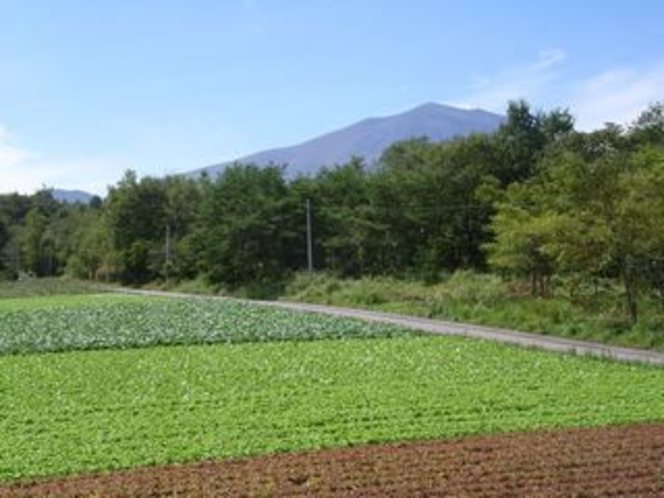 浅間山と野菜畑