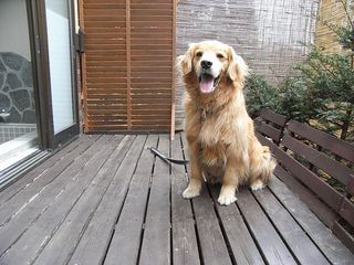 外風呂のウッドデッキ