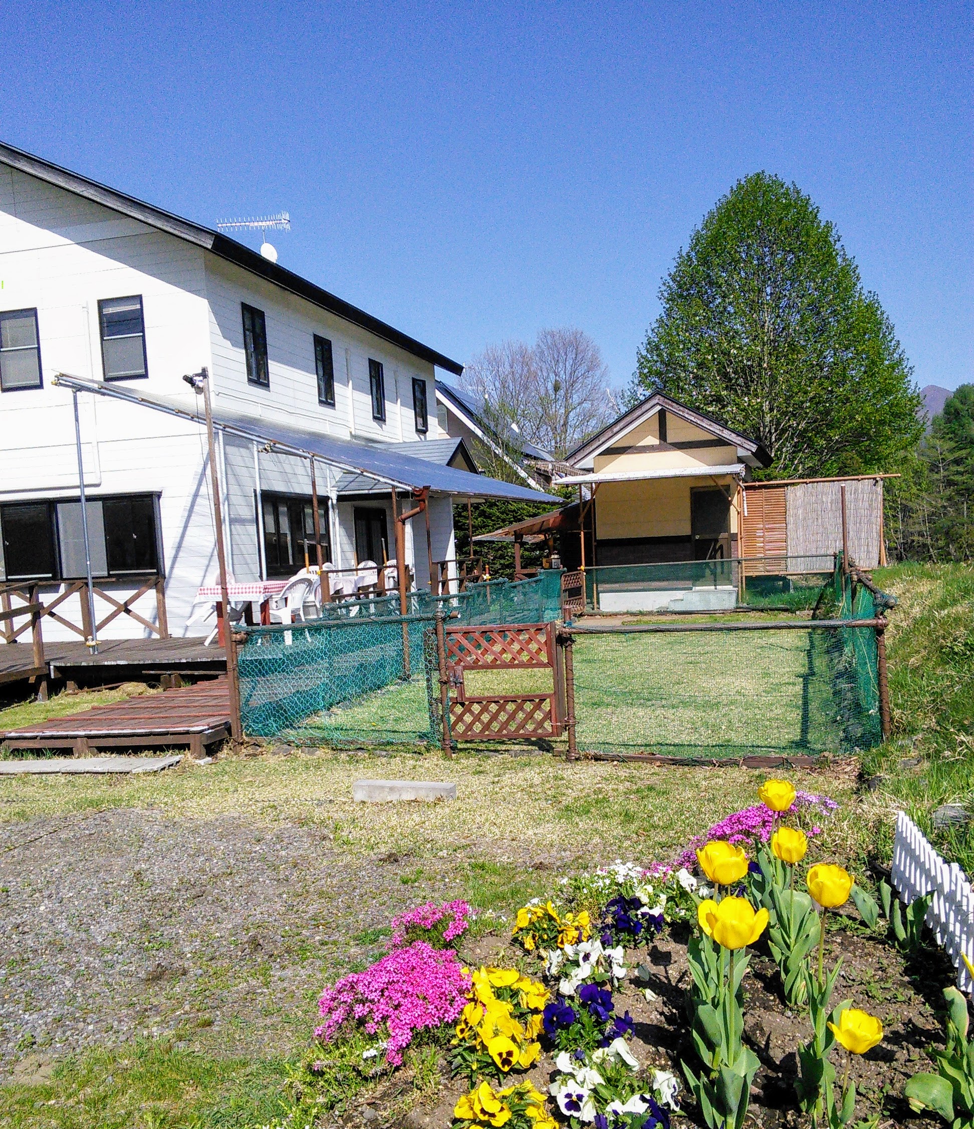 芝生のドッグランＢ