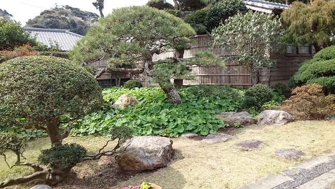 春の庭